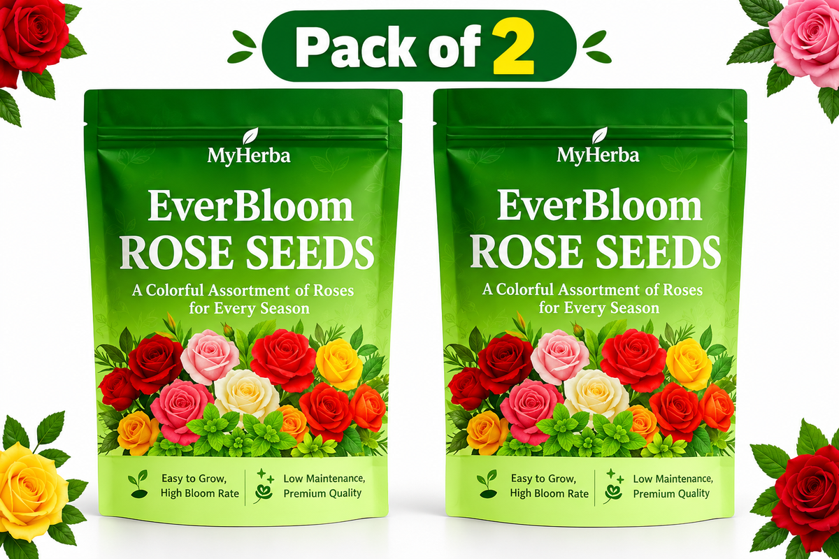 Ever Bloom Climbing Rose Seeds With Plant Booster (Pack Of 2)