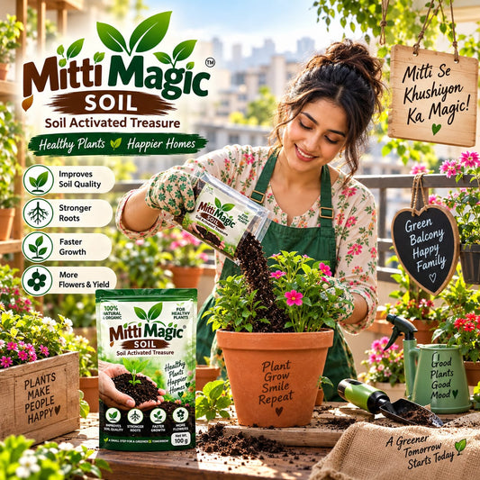 Mitti magic soil (Pack of 4)