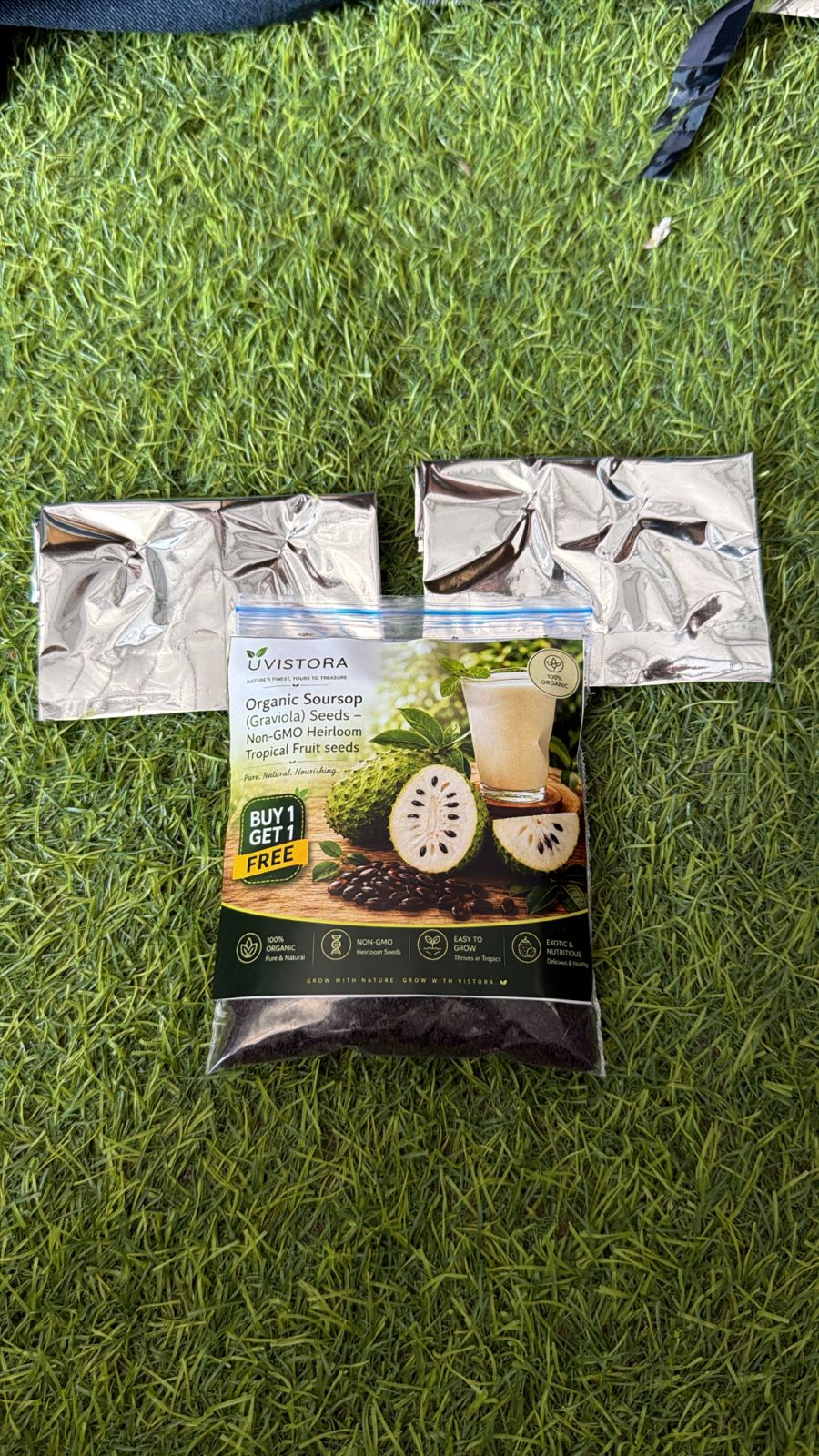 Organic Soursop (Graviola) Seeds (Pack of 2)