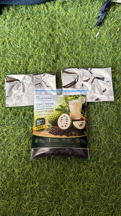 Organic Soursop (Graviola) Seeds (Pack of 2)