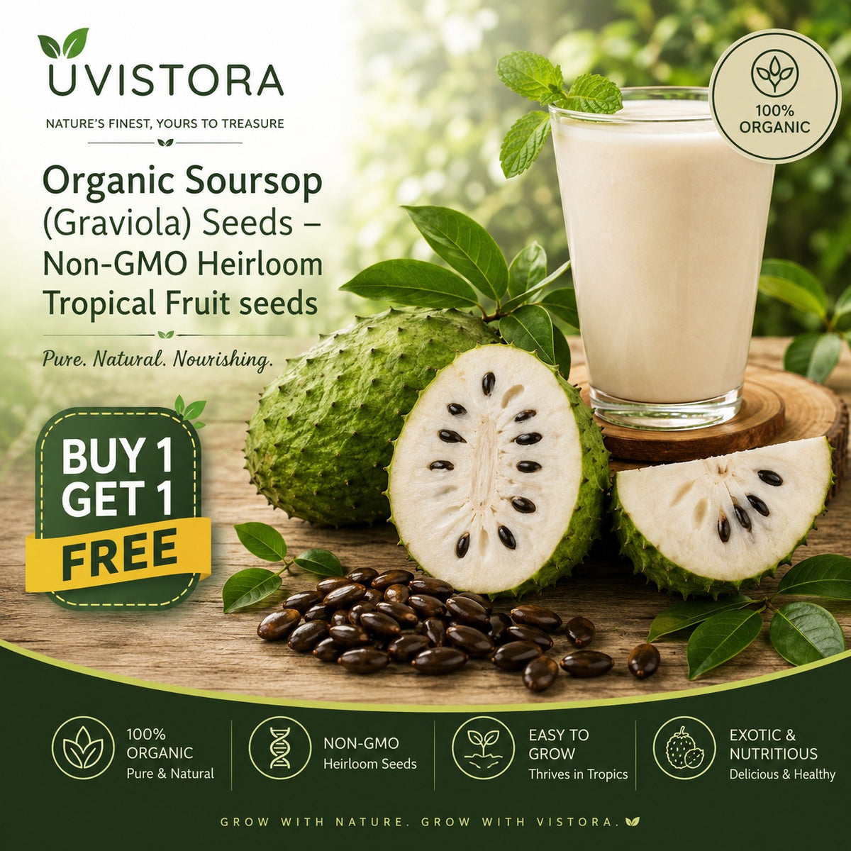Organic Soursop (Graviola) Seeds (Pack of 2)